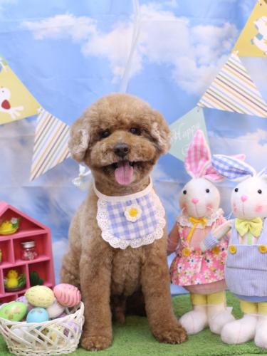 20240327ジョンくん